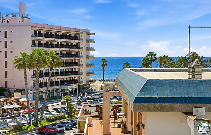 A 150 m. de la plage avec vue sur la mer, LICENCE TOURISTIQUE