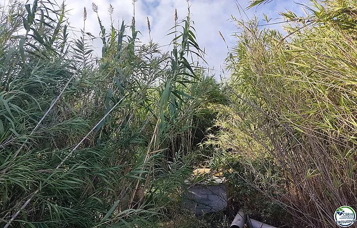 Débarquement à Torroella de Fluvià.