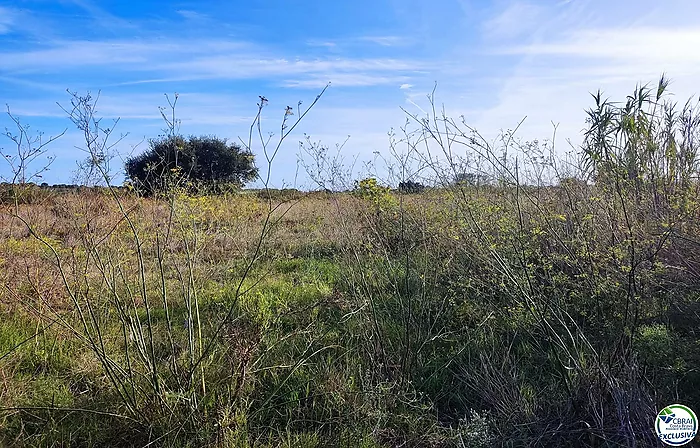 Débarquement à Torroella de Fluvià.