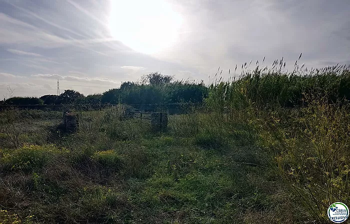 Débarquement à Torroella de Fluvià.