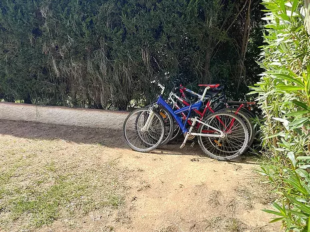 Apartamento en planta baja en un rincón de verdor, con posibilidad de amarre