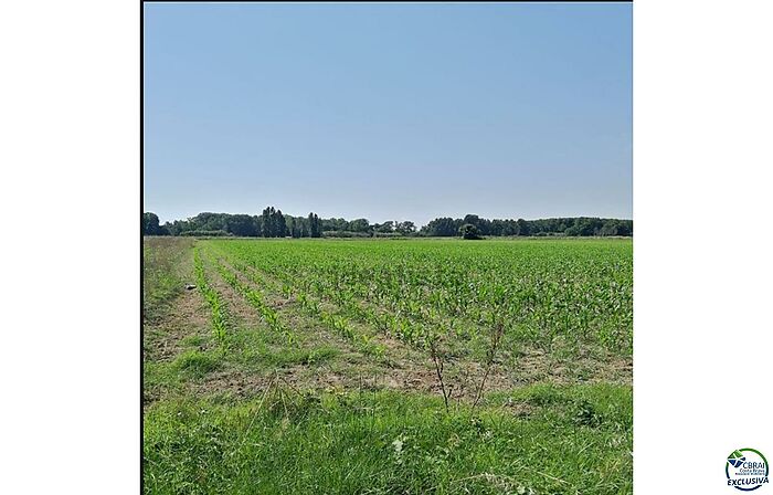 Amplio terreno agrícola en venta Castello d'Empuries